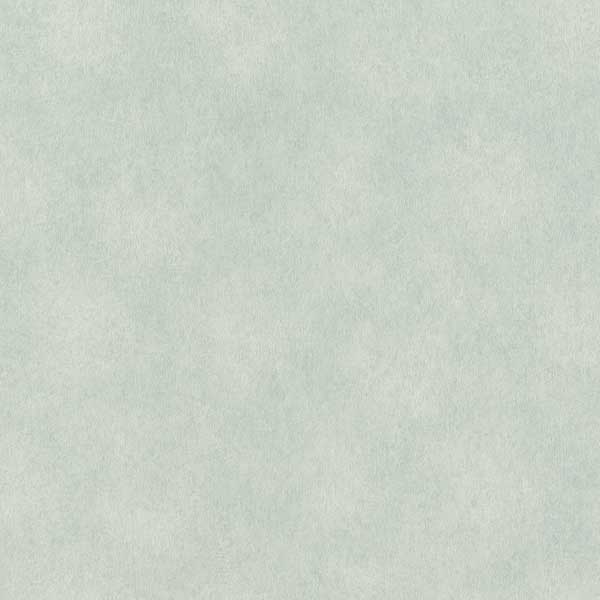 957341 Rasch Рэймонд обои флизелиновые 1,06*10м/6