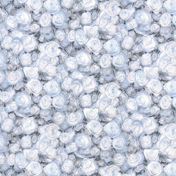 25031 Blumarine II обои флизелиновые 0,70*10м/6