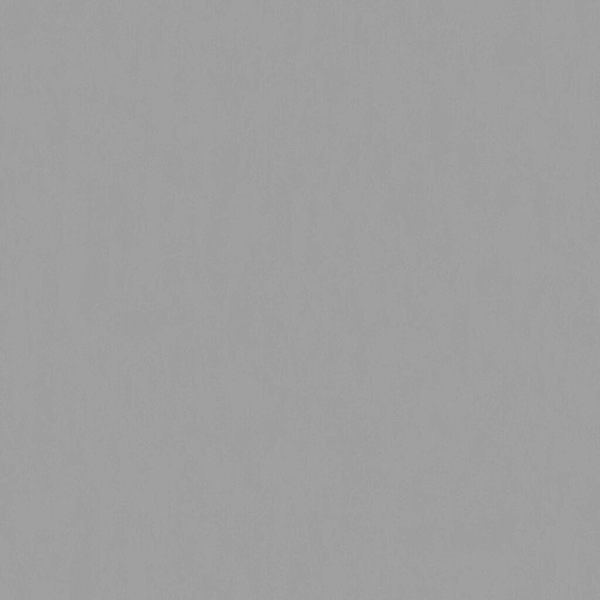 Техас фон 22 Белобои обои дуплекс 0,53*10м/12