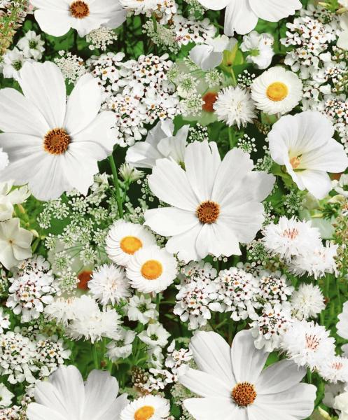 Ромашки 692 344 09 обои флизелиновые 1,06*10м/6