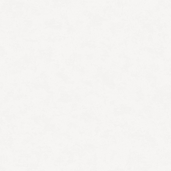 283522 Victoria Stenova Перо обои флизелиновые 1,06*10м/6