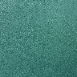 60776-10 Архитектор обои флизелиновые 1,06*10м/6