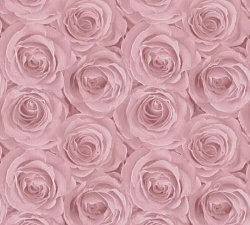 37644-1 AS Creation Roses обои флизелиновые 1,06*10м/6